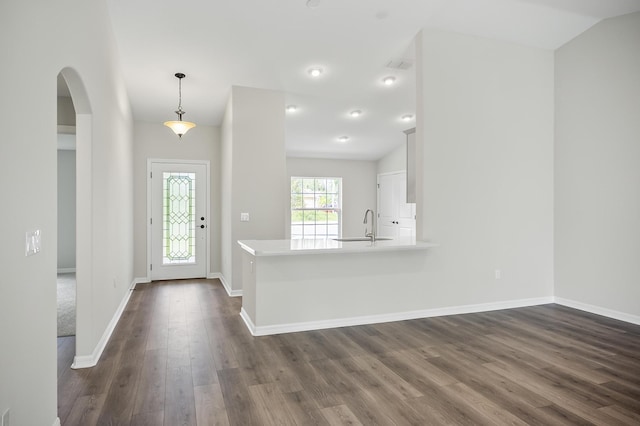 foyer entrance featuring vaulted ceiling, dark wood-type flooring, and sink