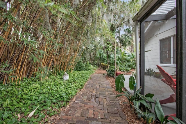 view of yard with a patio