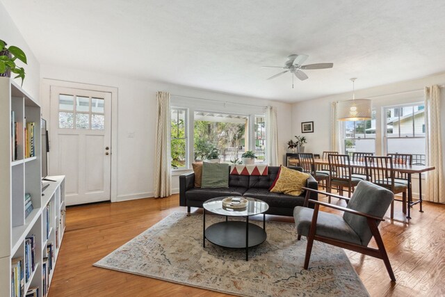 living room with ceiling fan and light hardwood / wood-style flooring