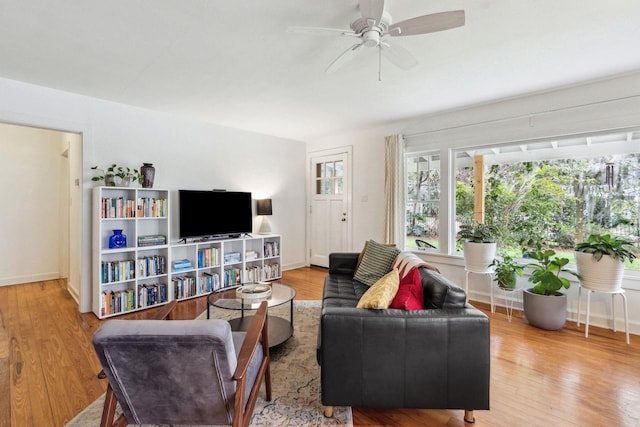 living room with ceiling fan and light wood-type flooring