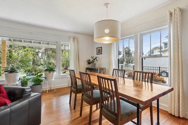 dining space featuring hardwood / wood-style flooring