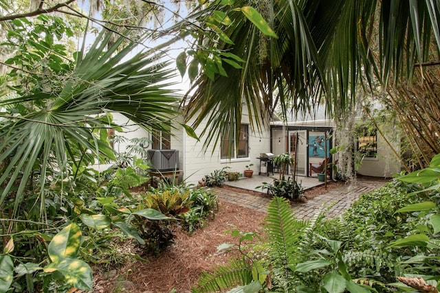 rear view of property with a patio