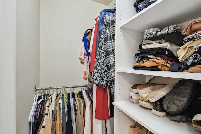 view of spacious closet