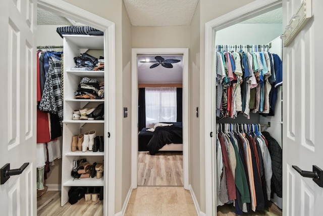 spacious closet with light hardwood / wood-style floors