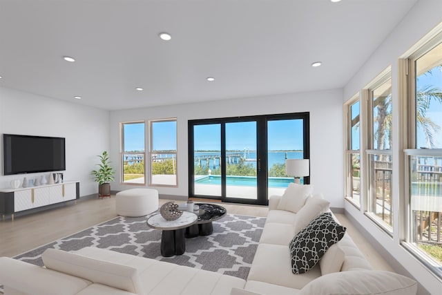 living room featuring light hardwood / wood-style floors and a healthy amount of sunlight