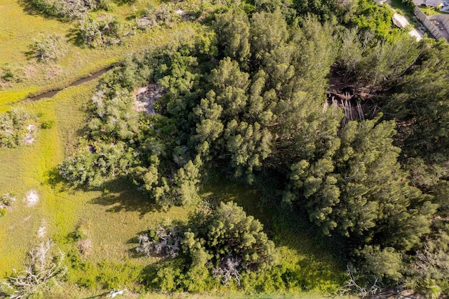 0 Carcaba Rd, Saint Augustine, FL 32084 - photo 11