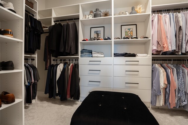 87 Amarante Ln, Saint Augustine, FL 32095 - spacious closet with carpet