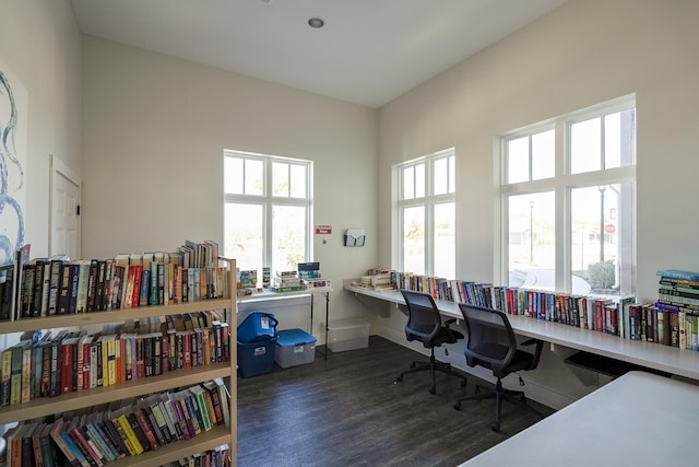 office featuring a wealth of natural light, a high ceiling, baseboards, and wood finished floors