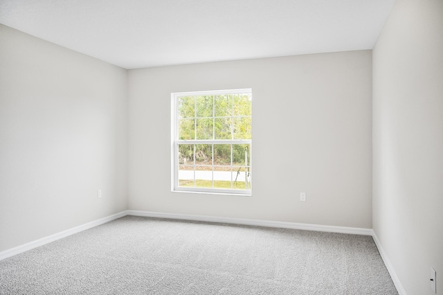 spare room featuring carpet