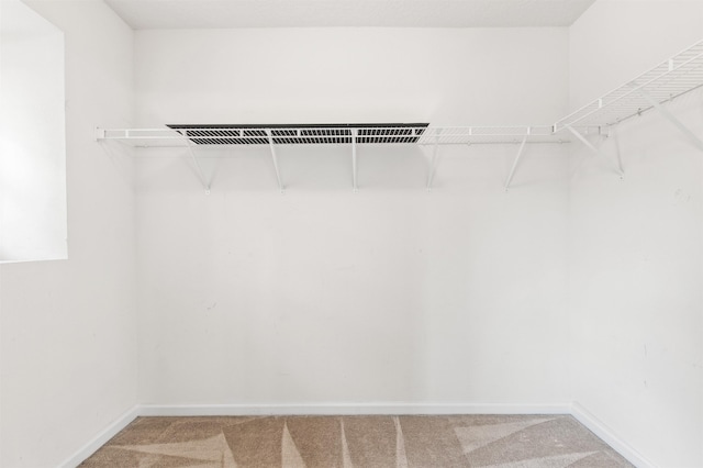4905 Cypress Links Blvd, Elkton, FL 32033 - walk in closet with light colored carpet