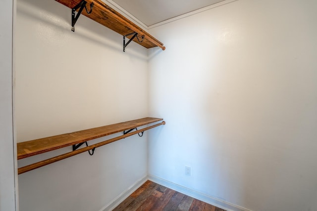 walk in closet featuring dark wood-type flooring