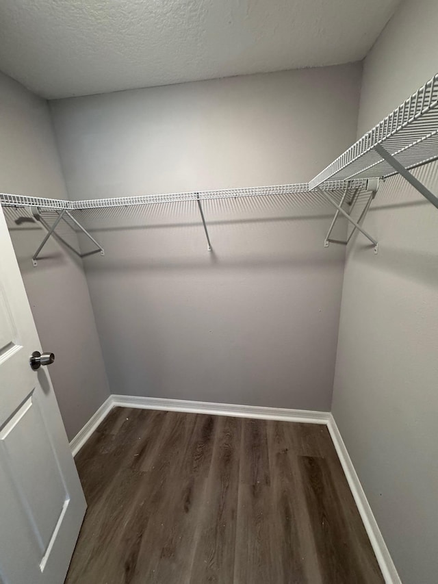 walk in closet with dark wood-type flooring