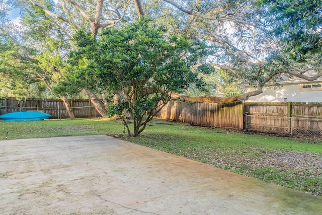 view of yard featuring a patio area