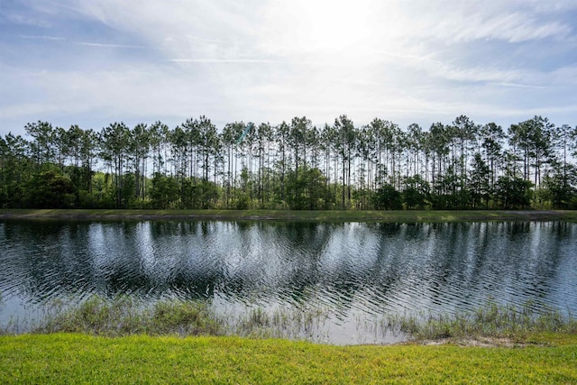 187 Jennie Lake Ct, Saint Augustine, FL 32095 - photo 17