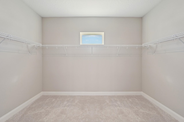 spacious closet featuring light carpet