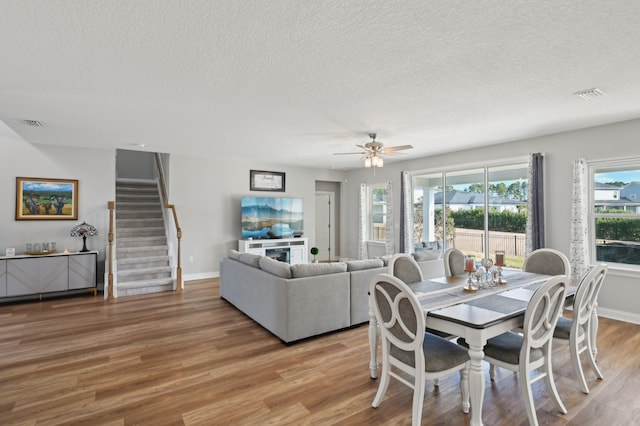 dining room with wood-type flooring, ceiling fan, and a textured ceiling