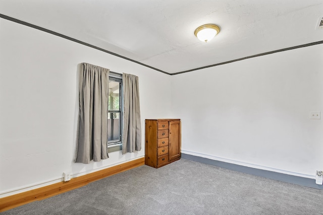 spare room with carpet