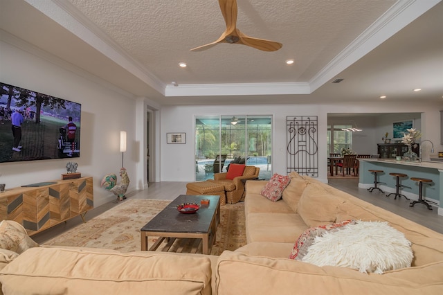 living room with a raised ceiling, ornamental molding, sink, and a textured ceiling