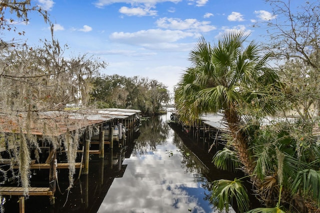 dock area with a water view