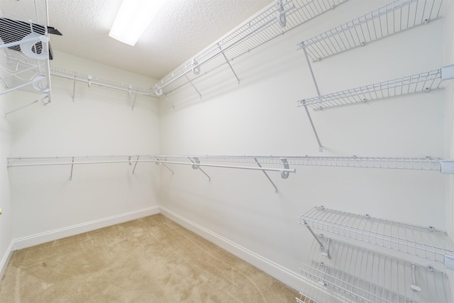 walk in closet featuring light colored carpet