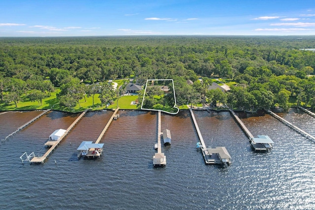 6433 Jack Wright Island Rd, Saint Augustine, FL 32092 - aerial view of property's location with a large body of water and property boundaries highlighted