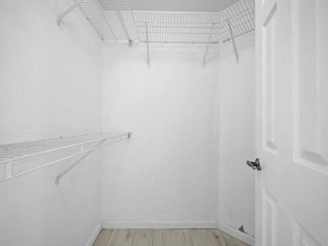 walk in closet with light hardwood / wood-style floors