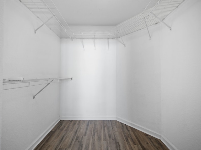 spacious closet with dark wood-type flooring