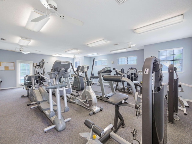 gym featuring ceiling fan and a healthy amount of sunlight