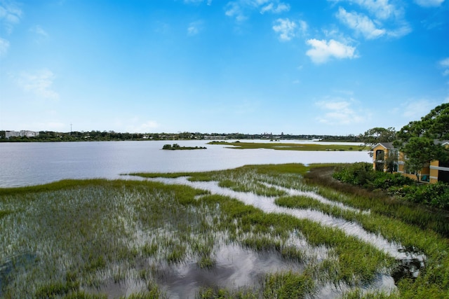 property view of water