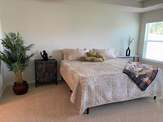 69 Hickory Ridge Rd, Saint Augustine, FL 32084 - bedroom with carpet floors and baseboards