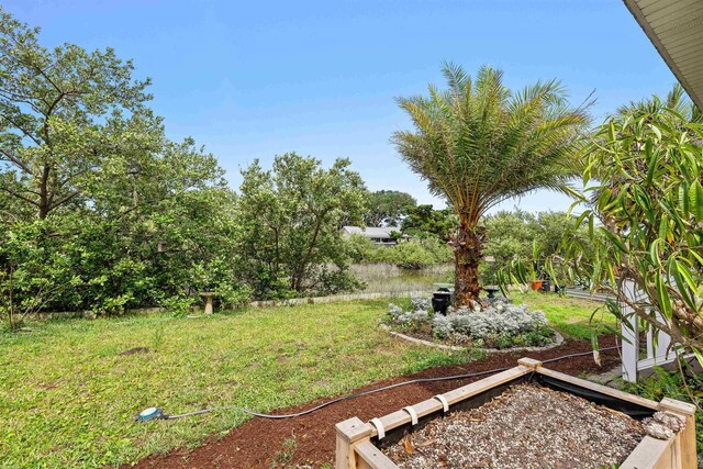 6600 Nassau St, Saint Augustine, FL 32080 - view of green lawn