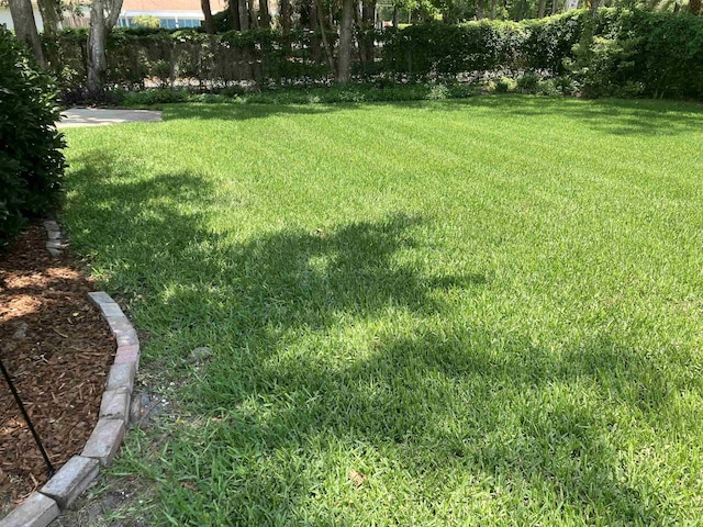 1076 Mainsail Ln, Saint Johns, FL 32259 - view of yard