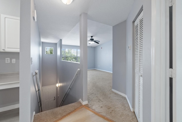 21211 Harbour Vista Cir, Saint Augustine, FL 32080 - hallway featuring an upstairs landing and carpet floors
