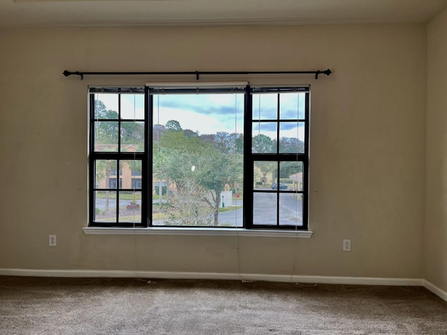 unfurnished room featuring carpet