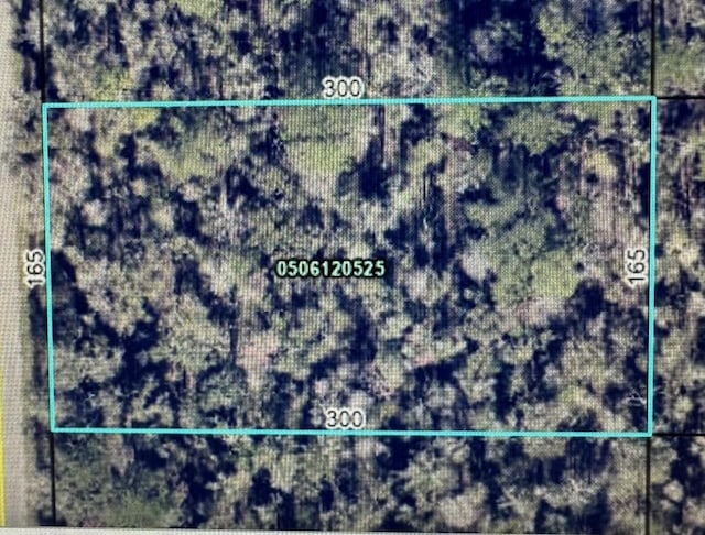 10140 Vaughan Ave, Hastings FL, 32145 land for sale