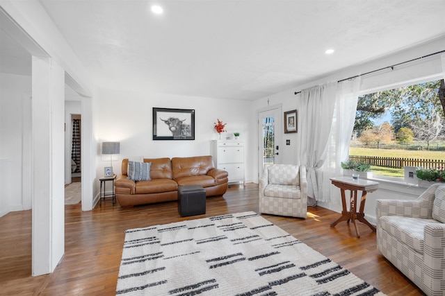 living room with hardwood / wood-style flooring