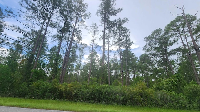 213 Georgetown Denver Rd, Georgetown FL, 32139 land for sale