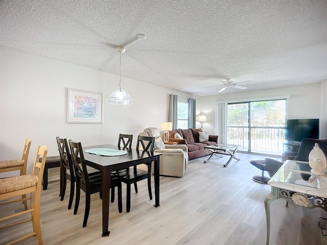 dining area with a textured ceiling, light hardwood / wood-style floors, and ceiling fan