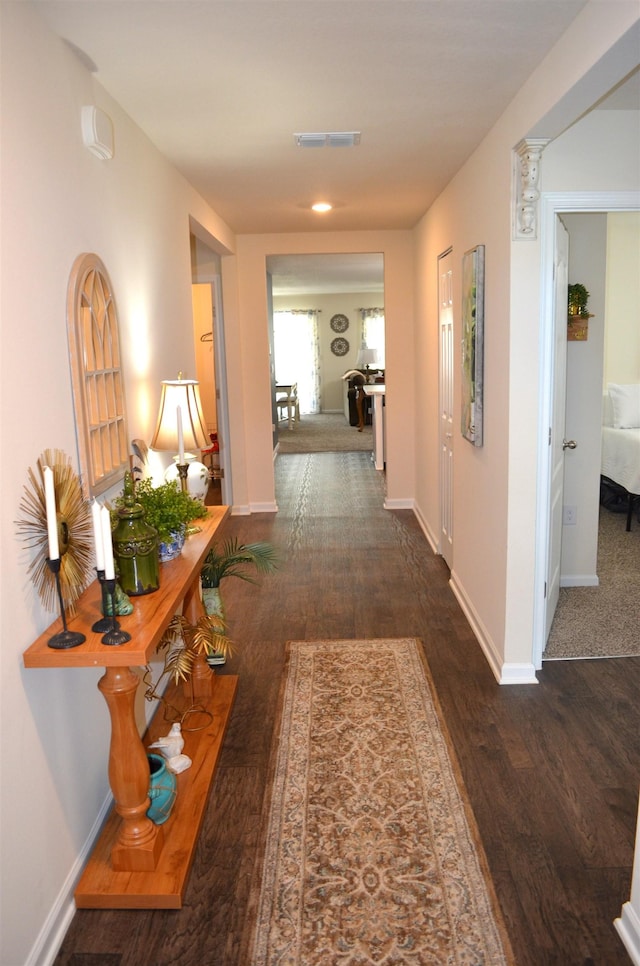 35 Putter Dr, Palm Coast, FL 32164 - hall with wood finished floors and baseboards
