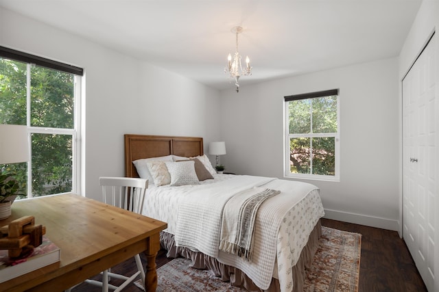 bedroom with dark hardwood / wood-style floors, multiple windows, and a closet