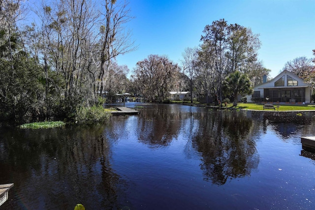 property view of water with a dock