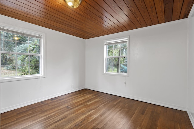 empty room with wood-type flooring