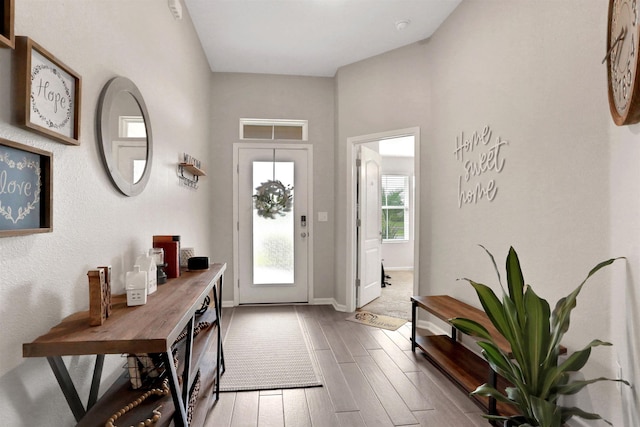 123 Hickory Ridge Rd, Saint Augustine, FL 32084 - foyer entrance featuring wood finished floors and a towering ceiling