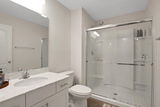 123 Hickory Ridge Rd, Saint Augustine, FL 32084 - bathroom featuring a shower stall, vanity, and wood finished floors