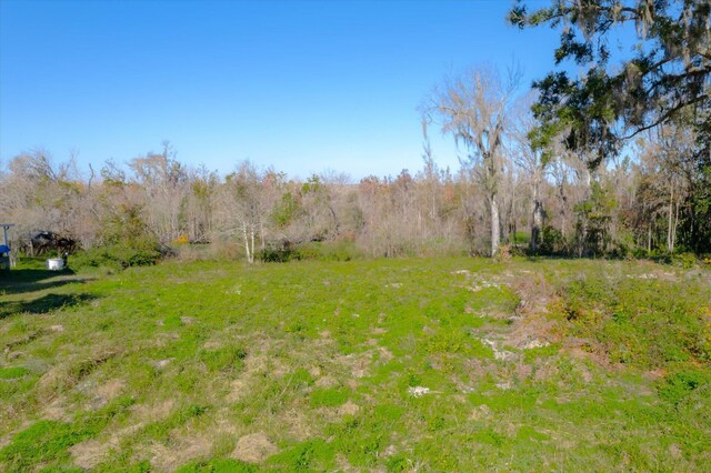 Listing photo 2 for 120 Ridgeline Ave, Satsuma FL 32189