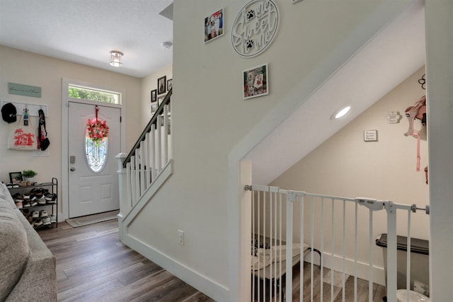 foyer featuring dark wood-type flooring