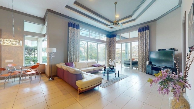 interior space with a raised ceiling, crown molding, and a high ceiling