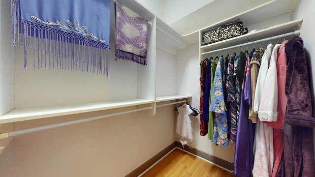 walk in closet featuring wood-type flooring