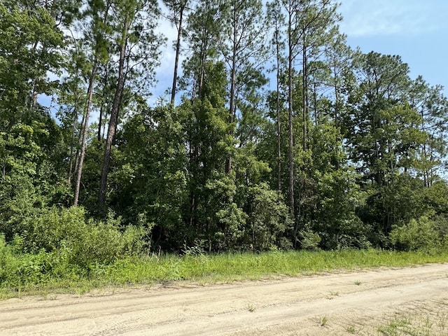 128 Domingo Rd, Satsuma FL, 32189 land for sale