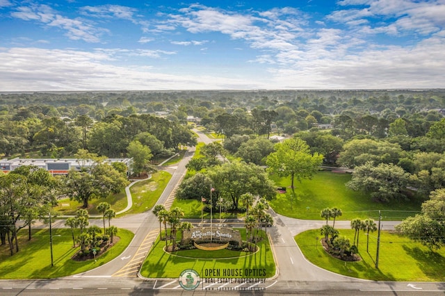 bird's eye view